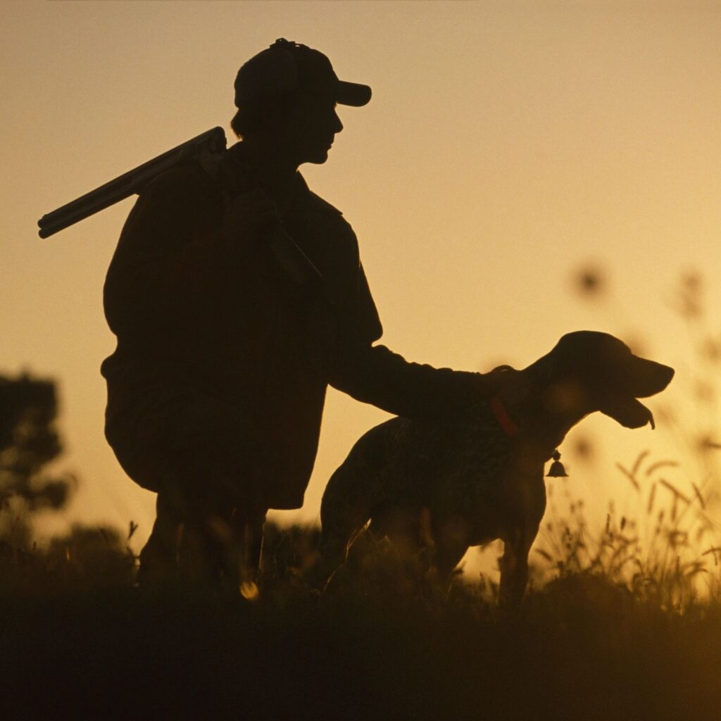 Silhouette image of hunter with rifle and dog