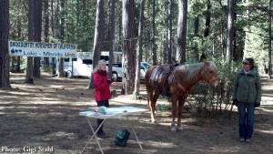 Sarah Reid, Trails Chair for the CA State Horsemen’s Association, provides clues to reading a horse’s body language. In the background, note Virginia Vovchuk’s horse, Shalako, as she cocks her rear leg in a relaxed pose, with head lowered, ears turned to the side.